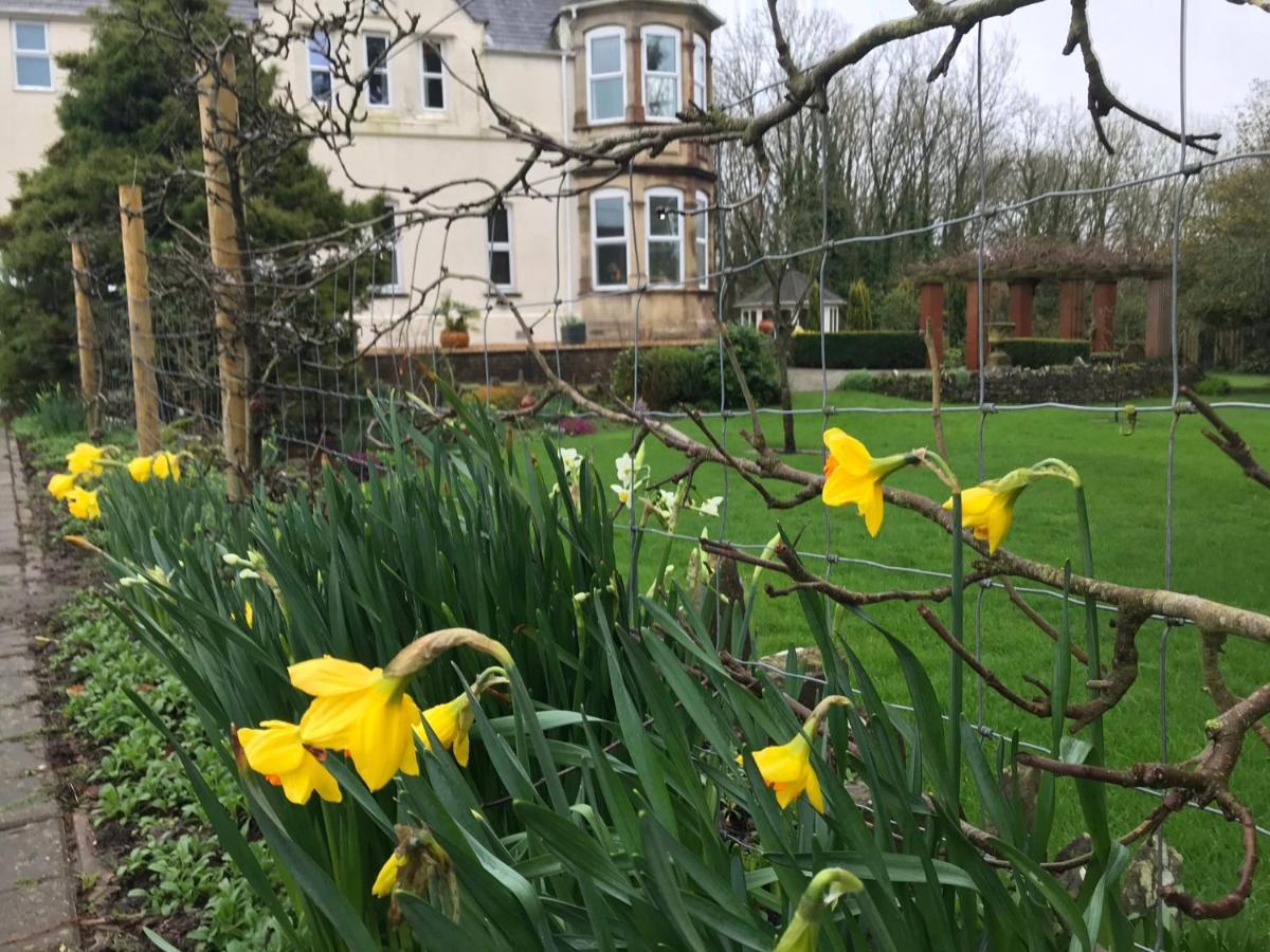 Holywell House B & B Evershot  Luaran gambar